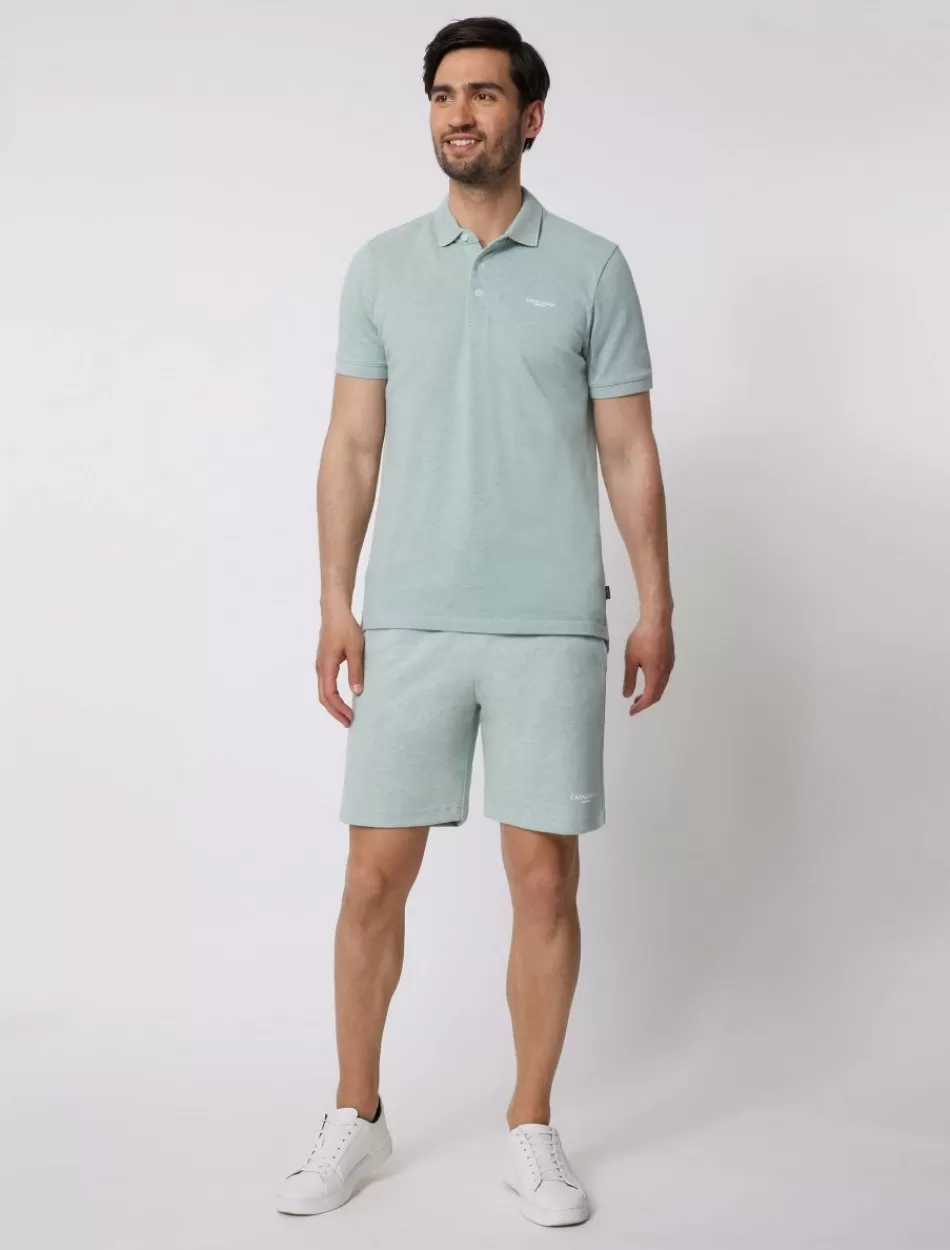 Poloshirts>Cavallaro Napoli Damiano Polo Groen Melange