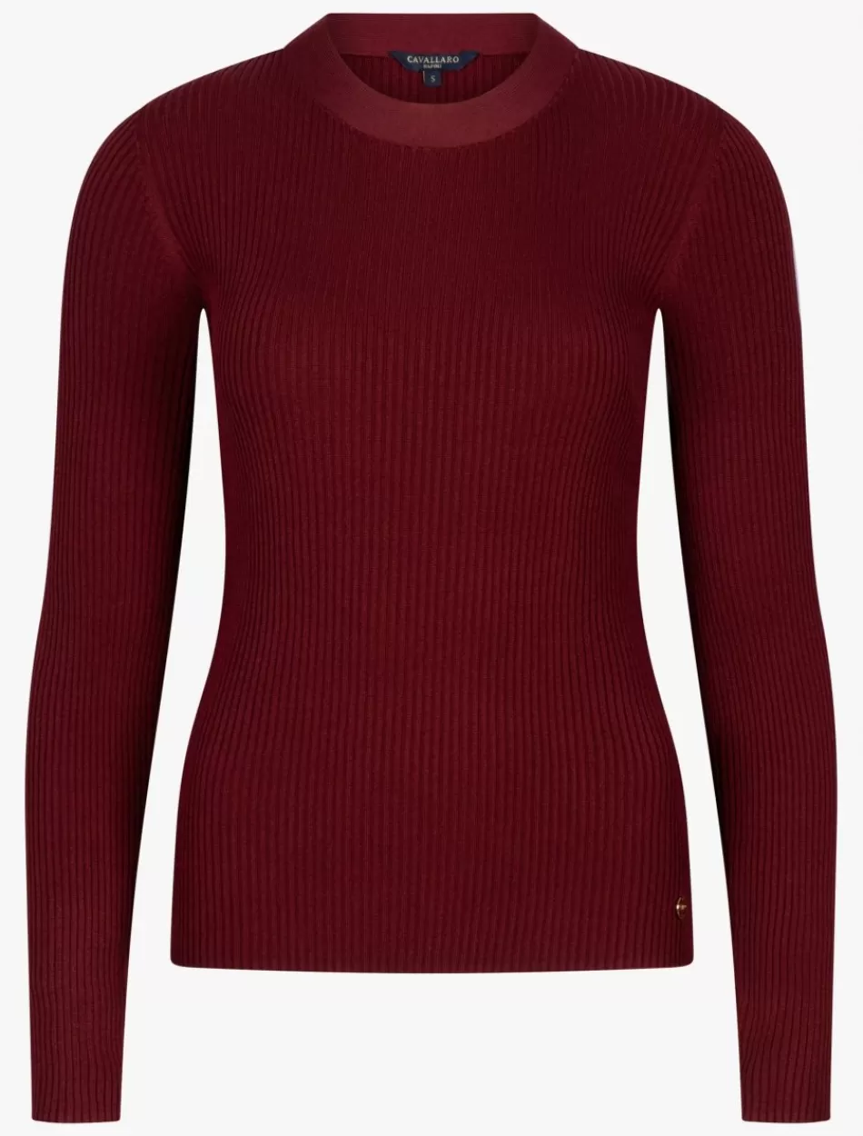 Tops & T-Shirts>Cavallaro Napoli Mezzolara Top Donkerrood